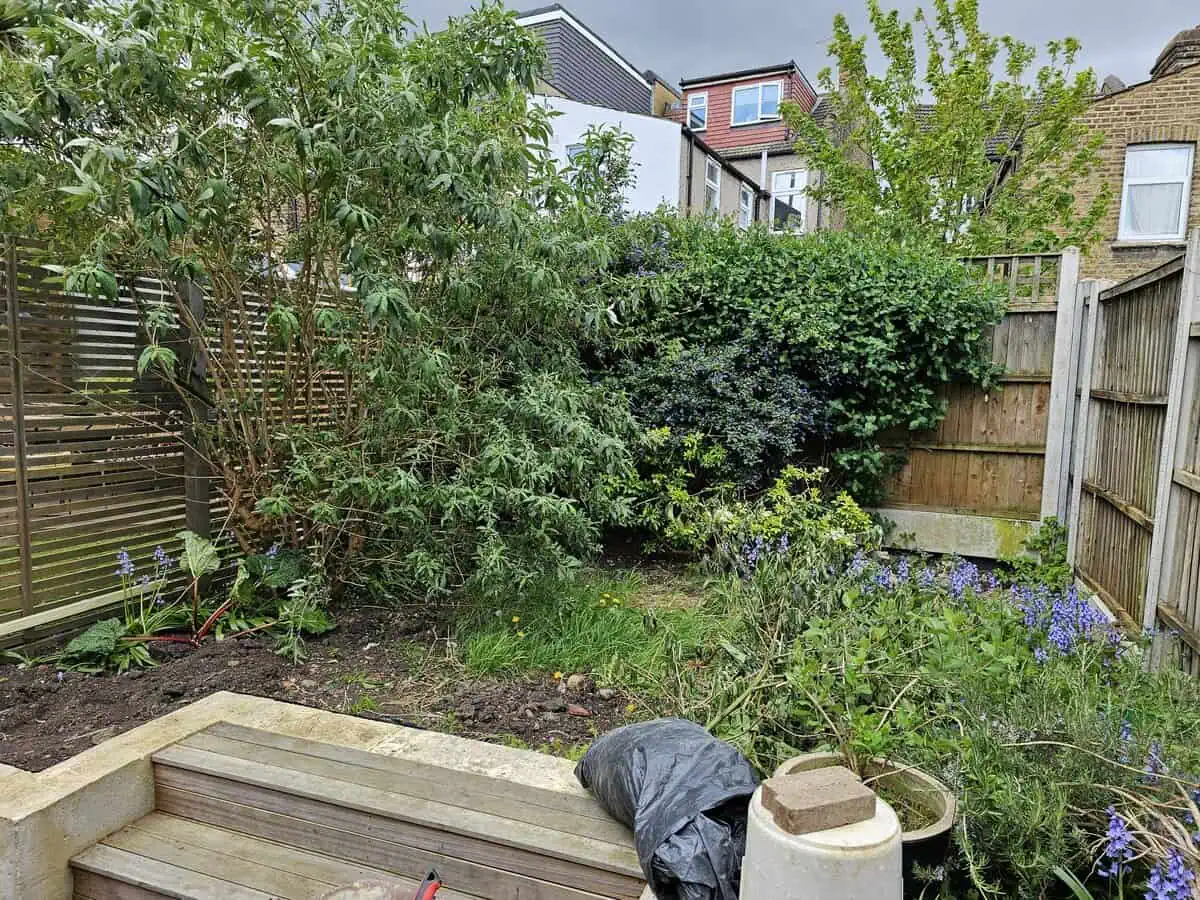 Clay Paver Garden Transformation — photo 2