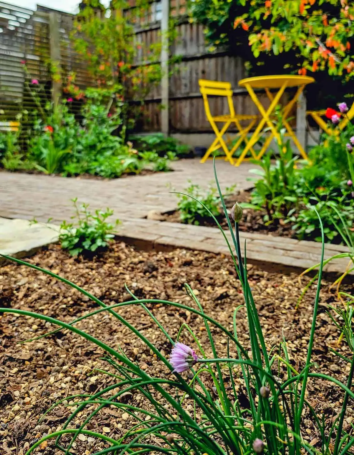 Clay Paver Garden Transformation — photo 7