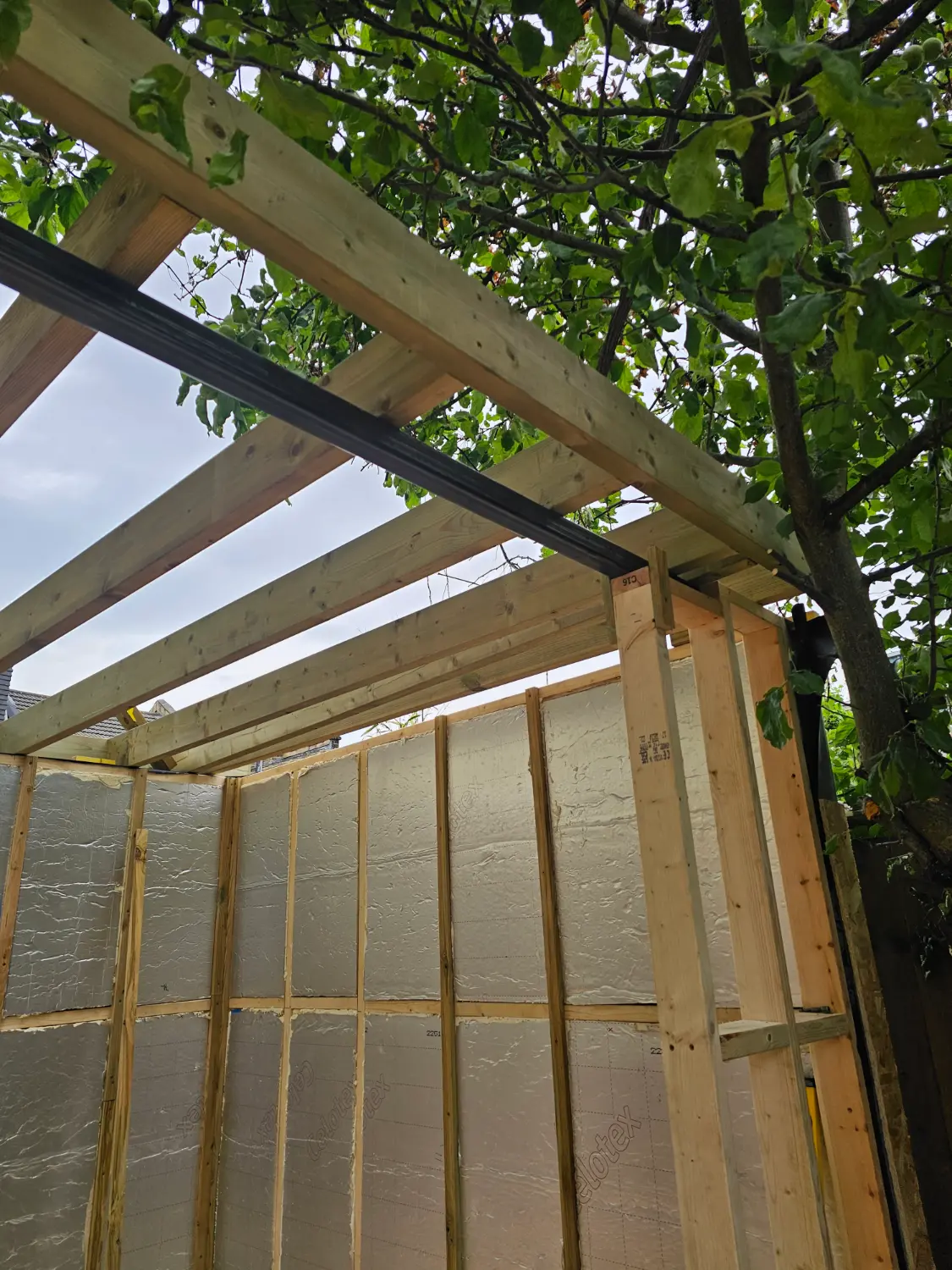 Cedar & Glass Garden Office — photo 5